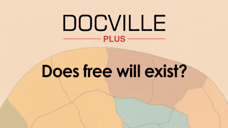 d-does-free-will-exist-docville-documentary-film-festival-leuven